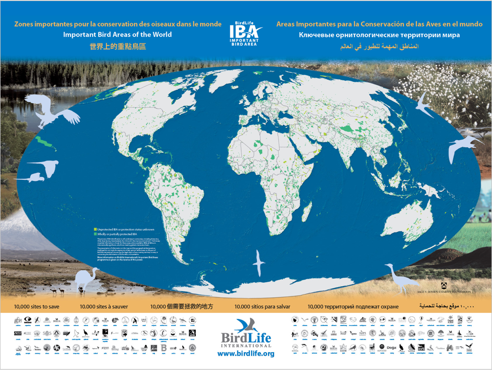 IBA poster